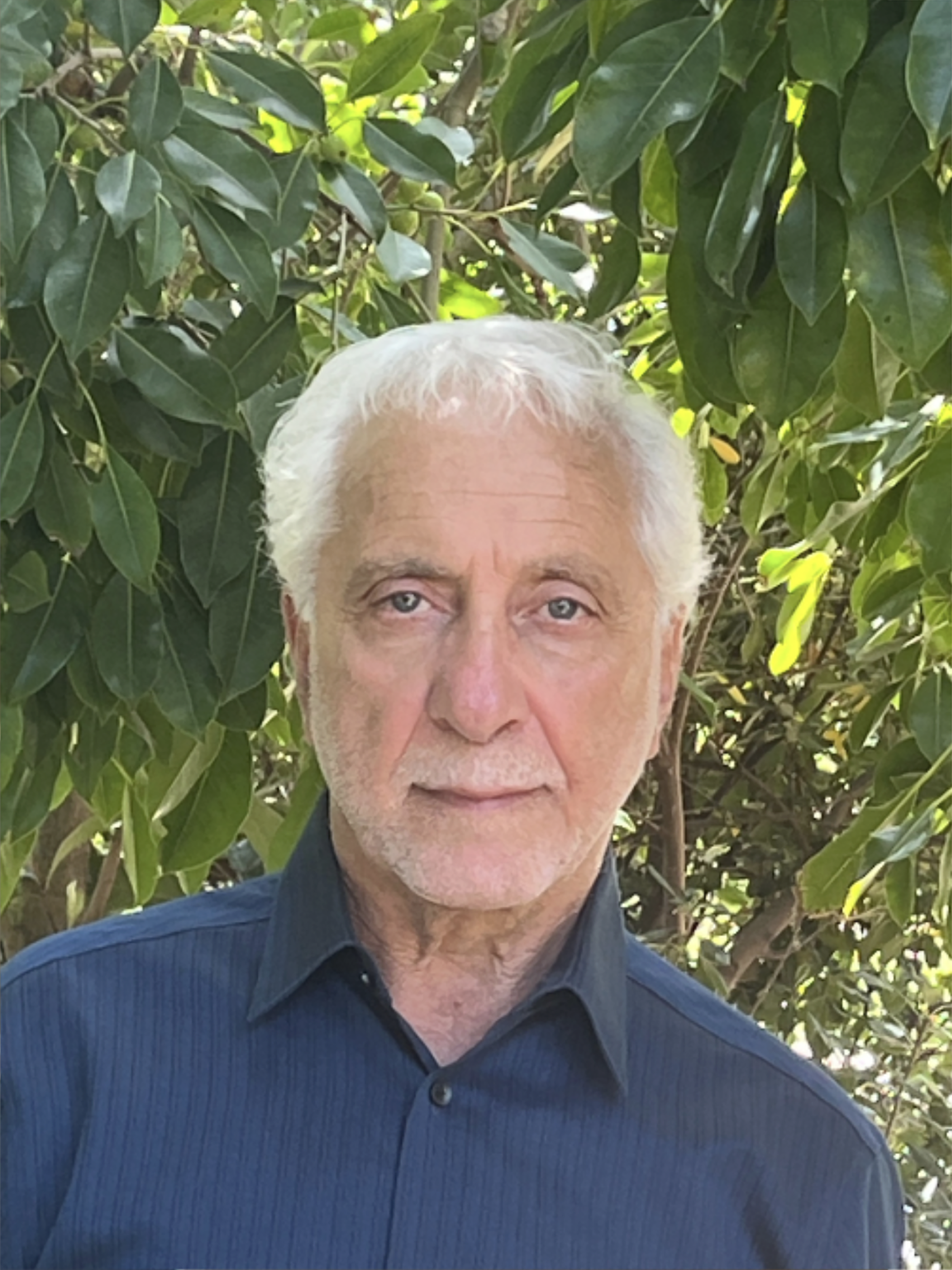Mansoor Vakili